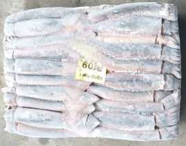 阿根廷鱿鱼400-600g